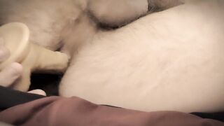 Solo male masterbating n anal