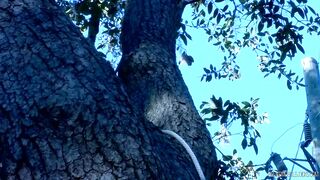 Dungeon Games - Into The Woods 3 with Tyler and Duke - 6 image