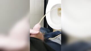 I recorded every piss I had for a day!!  - 10 image