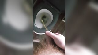 I recorded every piss I had for a day!!  - 5 image