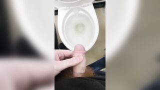 I recorded every piss I had for a day!!  - 8 image