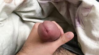 Morning. Hard dick. Masturbation. - 2 image