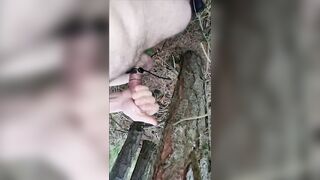 turture masturbation cock head in the forest outdoor - 5 image