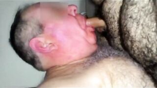 Daddy Bear Sucking And Masturbating - 7 image