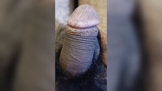 Desi Guy Try To Anal Beautiful Pakistani Guy Trying To Ass - 4 image