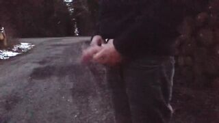 Guy plays with his dick in public and cums [after sunset, low quality] - 5 image