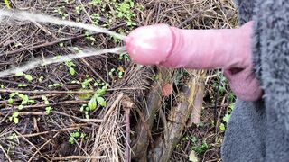 Hard Cock Pissing, Public Outdoor Cruising in the Woods - Rockard Daddy - 1 image