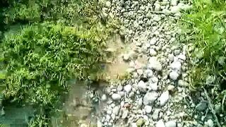 River Boy XXX Gay Solo - 1 image