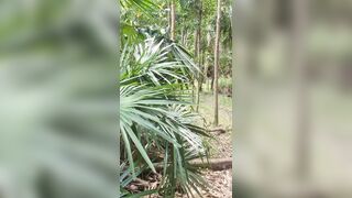 Risky public walking track cum in one-piece swimsuit - 1 image