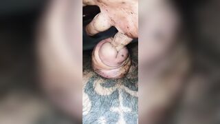 Jerking off the cock head and shaft and finger fucking in the urethra that has as split in half - 3 image