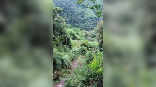 young handsome ranger masturbates and cums in the jungle, while he stays behind his companions - 1 image