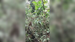 young handsome ranger masturbates and cums in the jungle, while he stays behind his companions - 2 image