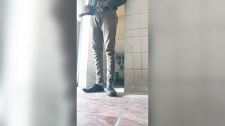 I Masturbate My BBC in the Restroom