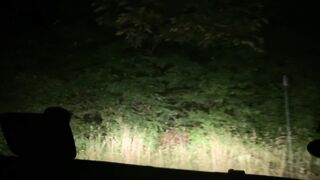 Hot gay blowjob in the car