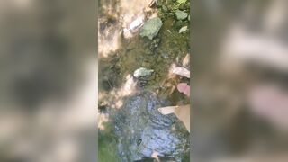 More Time at the River - 4 image