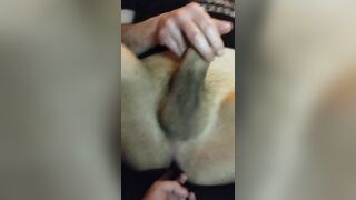 Experienced Twink Makes a Hunk Shoot A Load Of Cum