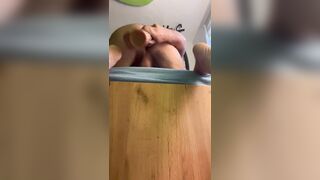 from behind the pets