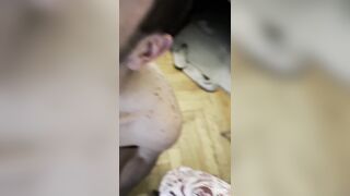 Happy New Year Daddy, I Want You