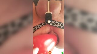 xhamsterplacebopt - 9cm wide red plug filling my insides