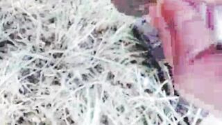 Fat boy showing dick 