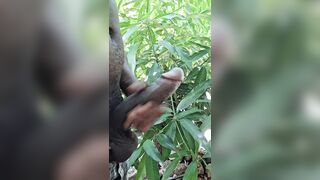 the dirtiest dick that ever fucked every whore in town