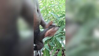 the dirtiest dick that ever fucked every whore in town