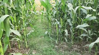 I like to do masturbation and I like old people very much