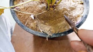 First Time Masturbating Video ( Teen Masturbation videos) - 1 image