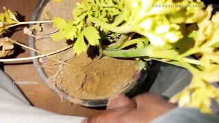 First Time Masturbating Video ( Teen Masturbation videos)