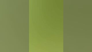 Wild sex in the woods with a stranger is the best way to get laid