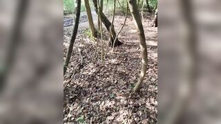 Wild sex in the woods with a stranger is the best way to get laid