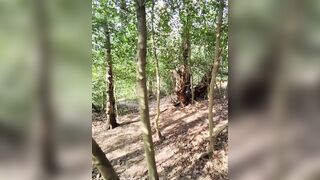Wild sex in the woods with a stranger is the best way to get laid