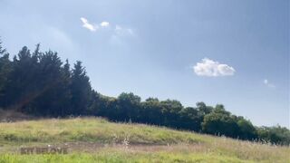 I got him deep in the woods so no one could see us fucking in the forest