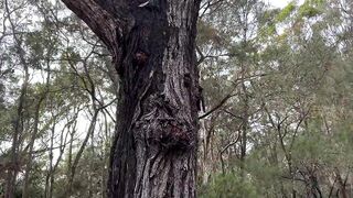 Ep 272. Bro's Sensual Touch - 3 image