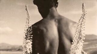 Vintage Victorian Homosexuals