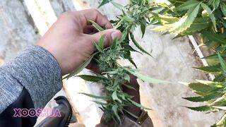 Twink Innocent getting naked