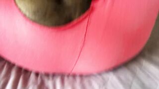 WEAR A RIPPED SWEATSHIRT AND SHOW MY ASS - 7 image