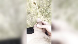 Publicboy18 Walk flash